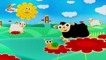 Baa Baa Black Sheep - BabyTV العربية