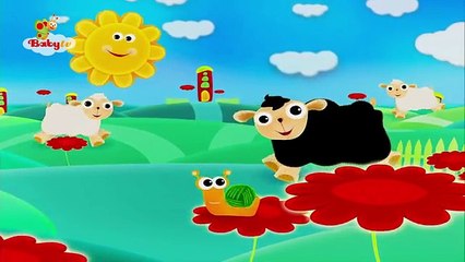 Baa Baa Black Sheep - BabyTV العربية