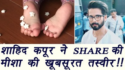 Shahid Kapoor shares BEAUTIFUL picture of Misha | FilmiBeat