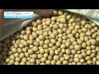 여름 면요리의 최강자 콩국수편 [광화문의 아침] 2회 20150609