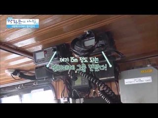 사랑해 우리바다 멸치잡이 [광화문의 아침] 5회 20150612