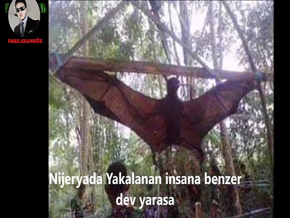 Deep Web e Girdiğinizde Karşınıza Çıkabilecek Fotoğraflar