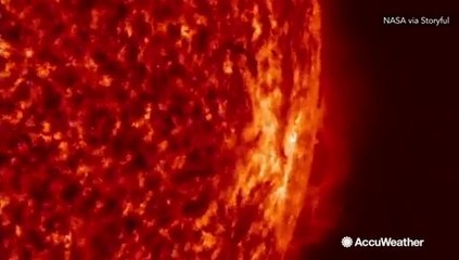 sunnshine of fantastic planet
