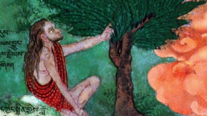 PBS THE BUDDHA -REINCARNATION