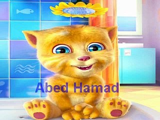 نام بكير - حنان الطرايره | قناة كراميش | أداء رائع للقطة الناطقة