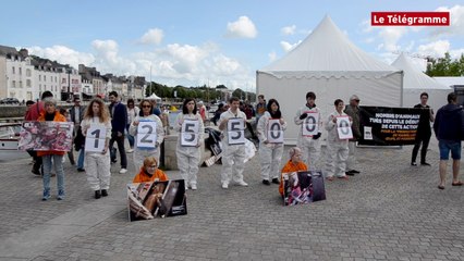 Vannes. L214 dénonce l'abattage des animaux
