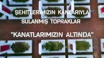 Kokpit Kamerasından Solo Türk Ve Türk Yıldızları Gösterisi