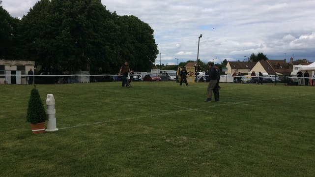 3e sélectif du Ring 2017 sur le terrain du Sport canin alençonnais