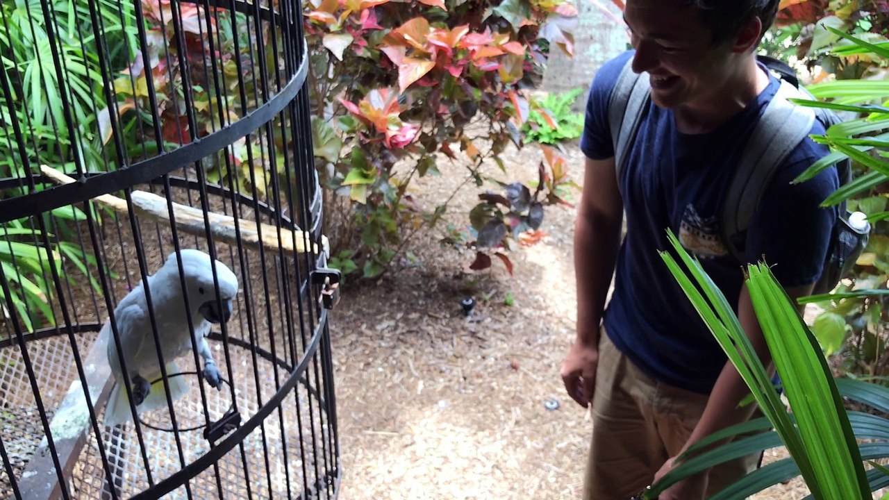 Floride - (6/6) - Road Trip USA 2017