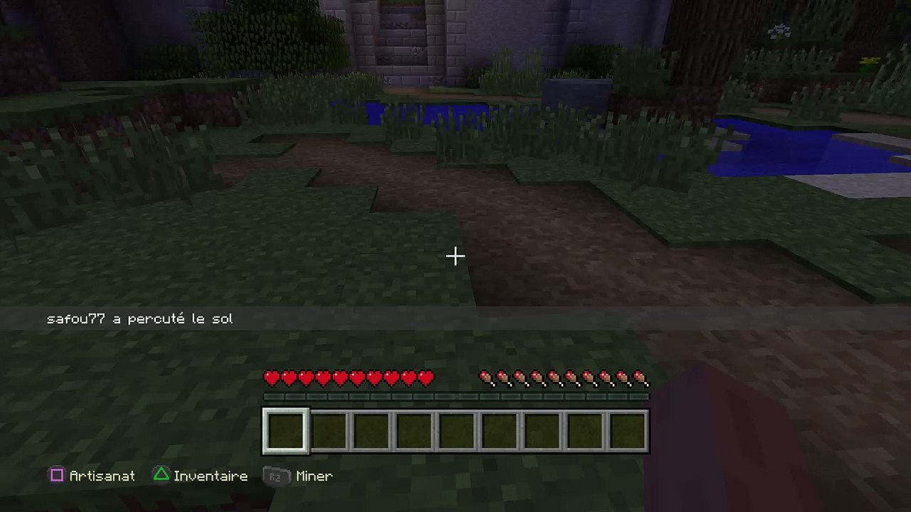 Live sur minecraft