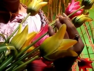 AnRoy ==  PANDUTO CINTO