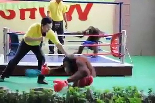 KOMEDİ DÜNYASI KOMİK VİDEOLAR 2