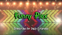 Funny Bread Cat Videos Compilation 013