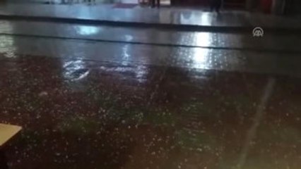 Dolu, Tarım Ürünlerine Zarar Verdi