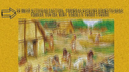 PREHISTORIA - NEOLÍTICO