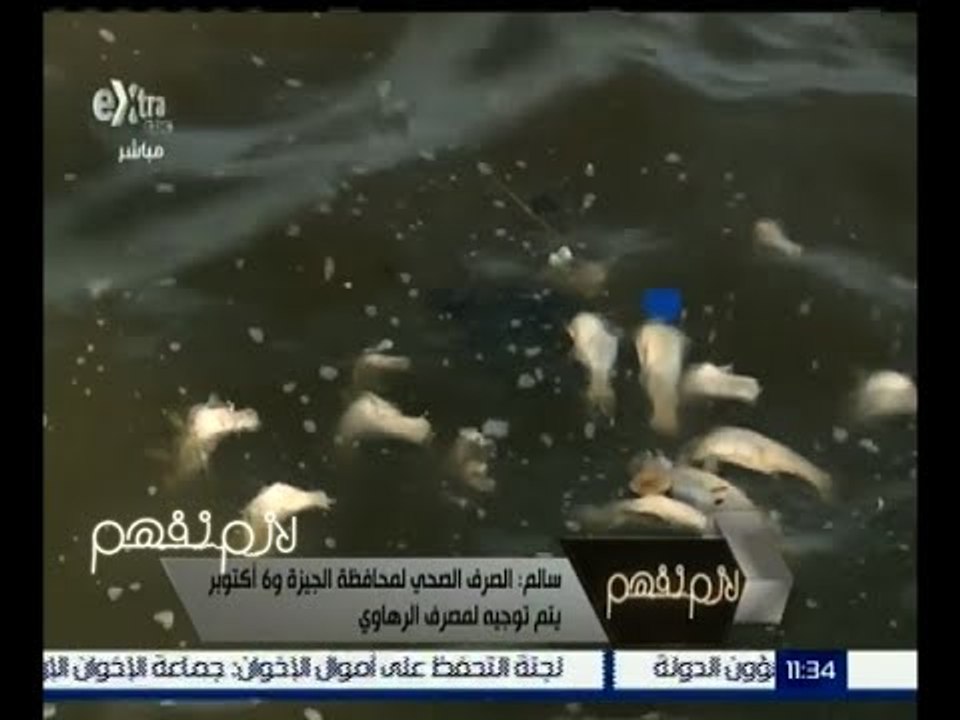 لازم نفهم | أزمة نفوق الأسماك و تلوث المياه في النيل | ج2