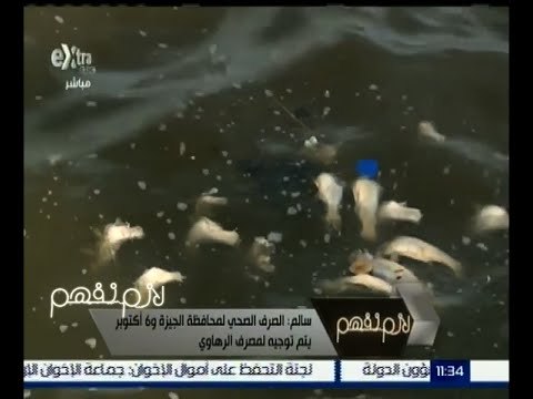 لازم نفهم | أزمة نفوق الأسماك و تلوث المياه في النيل | ج2