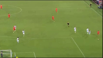 Josip Ilicic  Goal - Napoli vs AC Fiorentina 3-1 20.05.2017 (HD)