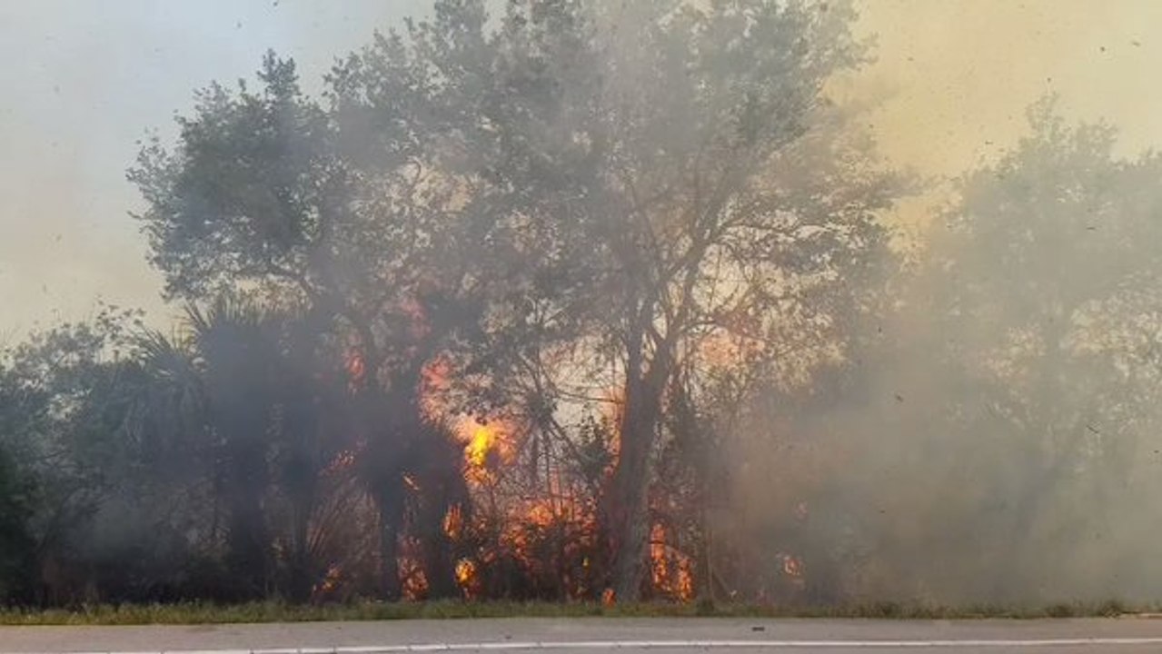 Fast-Moving Pineapple Wildfire in St. Lucie County Burns 60 Acres