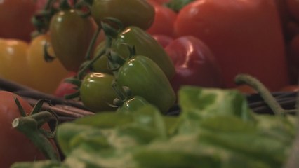 Cultivar en la Luna o en Marte, una probabilidad cada vez más real