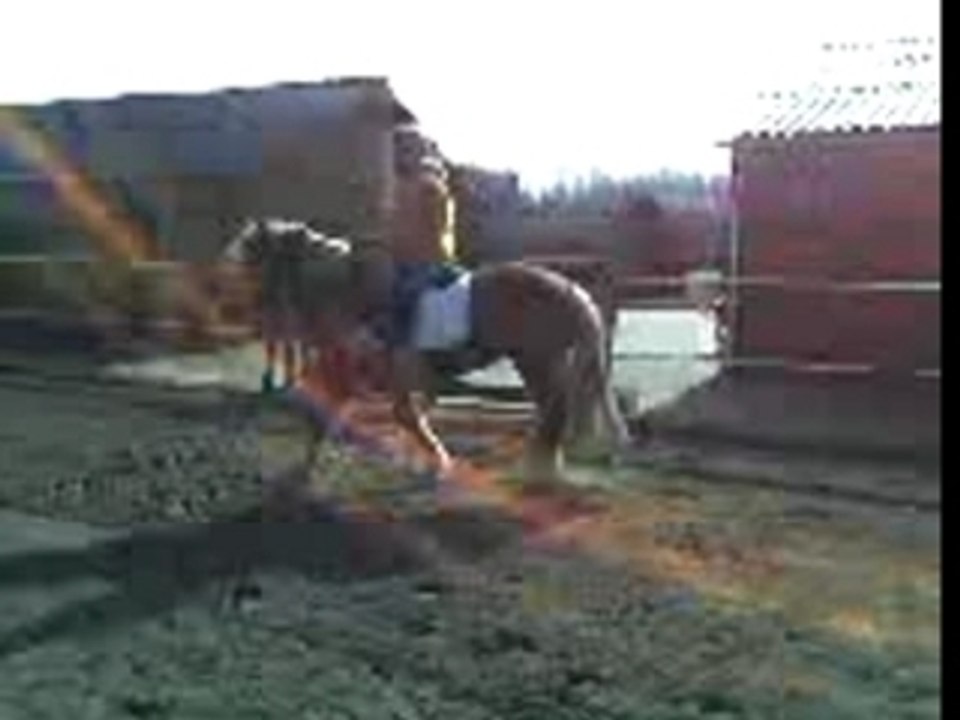 15-03-07_1301
