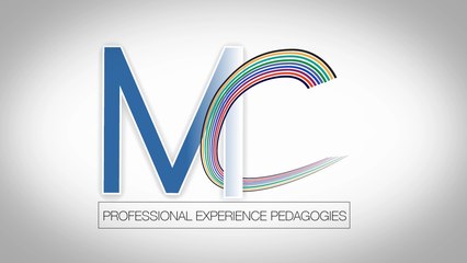 Professional Experience Pedagogies