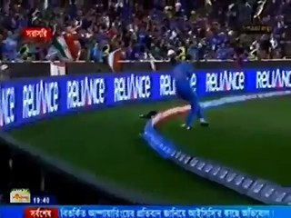 Indian cricket Team in movies vs reality