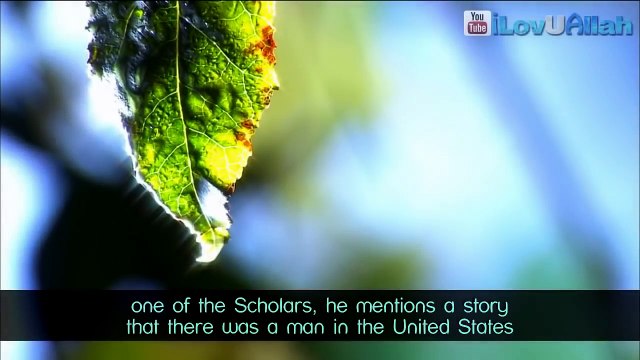 04. Islam Liberated Me - True Story ᴴᴰ ┇ Amazing Reminder ┇ by Mufti Ismail Menk ┇ TDR ┇