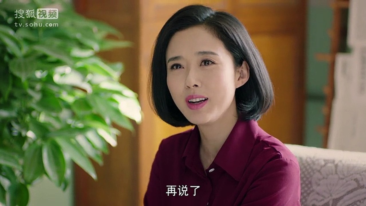 北方大地第19集