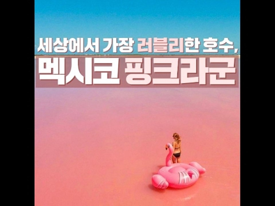 [Pink Lagoon In Mexico] 세상에서 가장 러블리한 호수