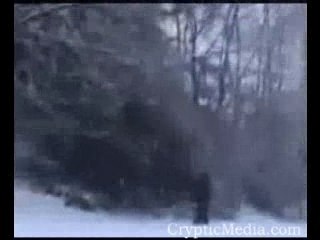 Luxembourg Bigfoot Sighting