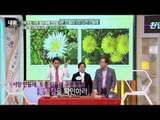 위염 개선에 도움을 준 기적의 약초는 '흰색 토종 민들레' [내 몸 사용 설명서] 44회 20150402