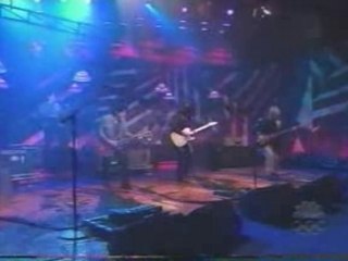 Meredith Brooks Black Leather Pants