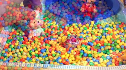 アンパンマンおもちゃとボールプール Anpanman Ball Pool