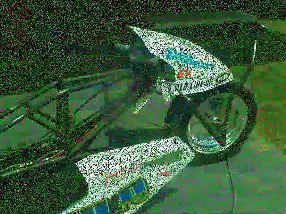 Wild Thing Planet Sand 2010