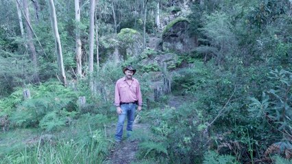 WW2 Tank Traps - The Brisbane Line