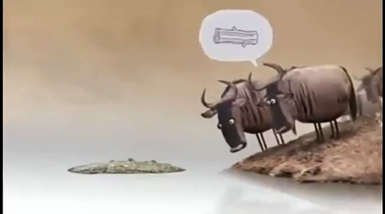 Crocodile vs wood most funny