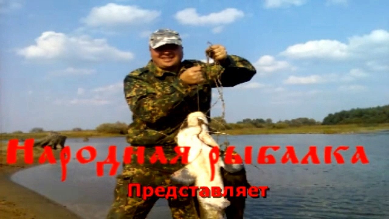 Щукари 2