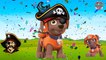 Baby Learning Songs! Paw Patrol Transforms Into Pirates, Fing