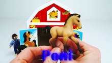 Aprende los Animales - Video Educativ  y Bebés!