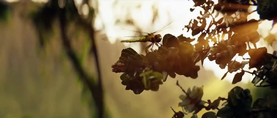 KING (2017) – Epic Action Blockbuster You Can't Miss 🎬