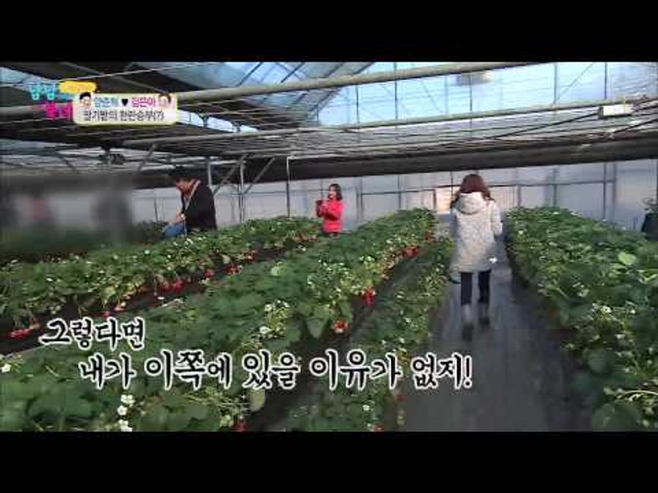 준혁-은아, 딸기 밭의 한판 승부 [남남북녀] 39회 20150327