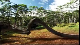 Snake and Dinosaur Dangerous Video