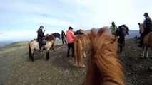 Horse Riding - Icelandic Hors s