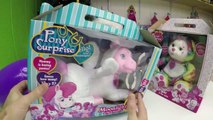 CUTE Pony Surprise Toys & Colorful Bear Toy Surprises   dsaGiant Egg Surprise Opening Disn