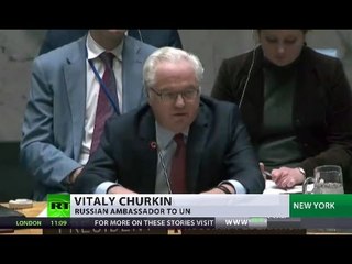 UN failed to organize evacuation of civilians from rebel-held Aleppo – Russian envoy