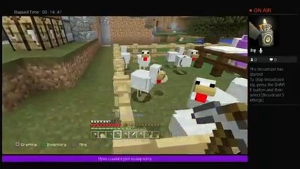 dynamobang's Live PS4 broadcast|Minecraft playthrough s1 e8 (5)