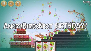 Angry Birds Seasons  AngryBirdsNest Birthday