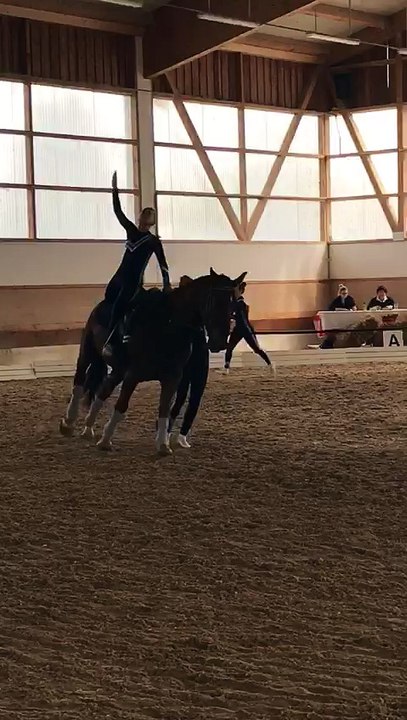 Turnier APSV 14.05.17 SGM II Kür und Auslaufen