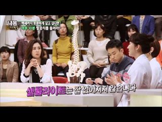 비만의 주 원인인 셀룰라이트는 왜 생길까? [내몸사용설명서] 40회 20150305